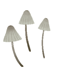 glowing magic forest Sticker by Alexandra Dvornikova