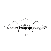 veromartorell fotografia fotografo vero martorell fotografoprofesional Sticker