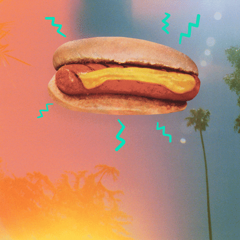 hot dog bbq GIF by @SummerBreak