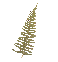 Who Are You Fun Sticker by Dresage