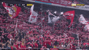 Football Soccer GIF by FC Spartak Moscow