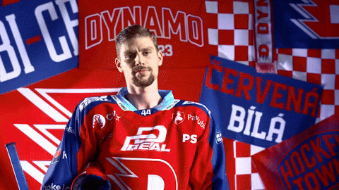Hockeytown GIF by HC Dynamo Pardubice