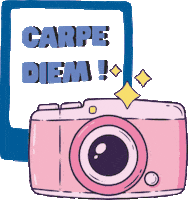 Fun Photography Sticker by Inednet