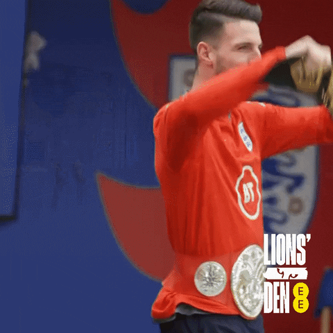 Celebrate Three Lions GIF by EE