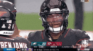 Arizona Cardinals Football GIF by NFL