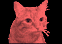 Dio GIF