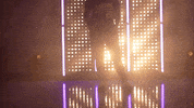 Washington Huskies Softball GIF by NCAA Championships
