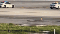 Three Injured After Plane Crash-lands at Miami International Airport