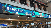 Airport Security GIF by Orlando International Airport (MCO)