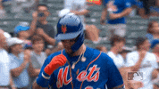 Happy Ny Mets GIF by New York Mets