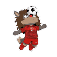 World Cup Football Sticker