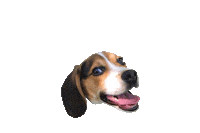 PupperoniTreats happy dog smile yes Sticker