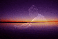 Relaxing New York GIF by Nova Sound