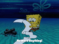 season 2 prehibernation week GIF by SpongeBob SquarePants