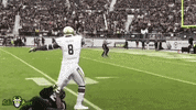 Beast Mode Usf GIF by SoFloBulls
