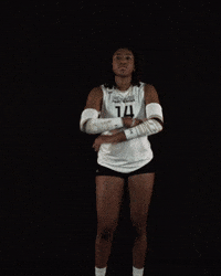 Womens Volleyball GIF by Purdue Fort Wayne Athletics