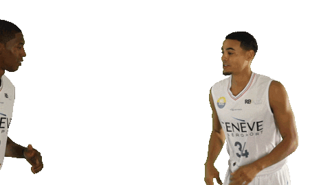 lionsdegeneve giphyupload celebration basketball jump Sticker