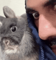 Confused No Way GIF