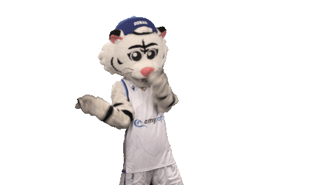 Basketball Thunder Sticker by Donar Official