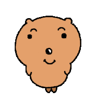 Turn Quokka Sticker