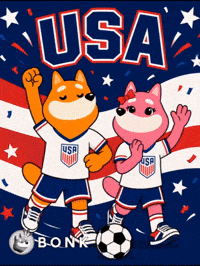 Football Soccer GIF by BONK