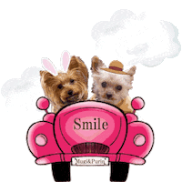 Idoldog Sticker