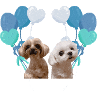 Idoldog Sticker