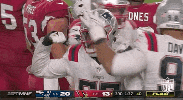 New England Patriots Football GIF by NFL