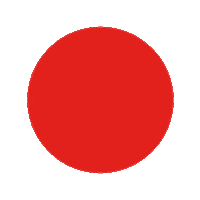 Bjj Development Sticker by gbwear