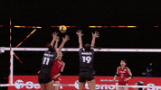 Jumping Lets Go GIF by Volleyball World