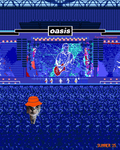 Oasis Cat Meme GIF by Furrend