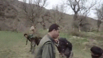 cute animal GIF