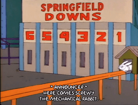 Season 1 Springfield Downs GIF by The Simpsons
