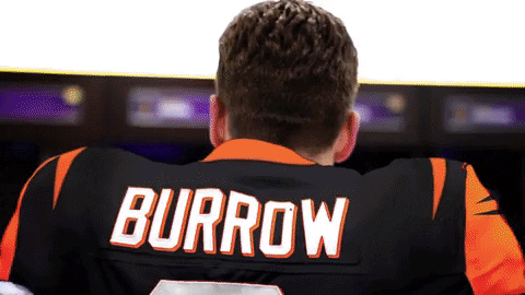 Cincinnati Bengals Nfl GIF by LSU Tigers