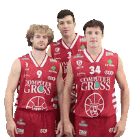 Basketball Lnp Sticker by Use Basket