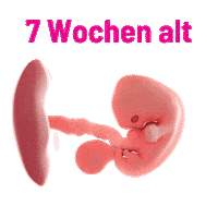 Pro-Life Mutter Sticker by sundaysforlife
