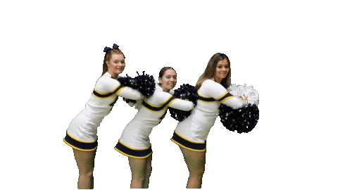 Sport Heart Sticker by Clarke University