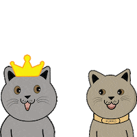 arthacat_id cat meow lucu kucing Sticker