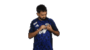Schalke 04 Football Sticker by Bundesliga