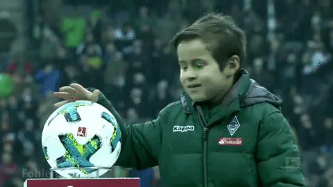 bundesliga ballkind GIF by SV Werder Bremen