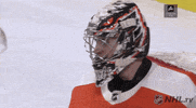 Happy Ice Hockey GIF by NHL