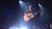mtv shawn GIF