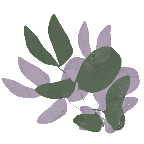 meganstclair_ giphyupload chill relax plant Sticker