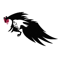 prague_harpies pragueharpies womensamericanfootball pragueteam Sticker