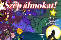 Good Night Sleep GIF