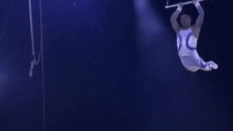 Clap Flying GIF by Ringling Bros. and Barnum & Bailey