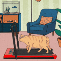 christinapencil orange cat fat cat ginger cat red cat GIF