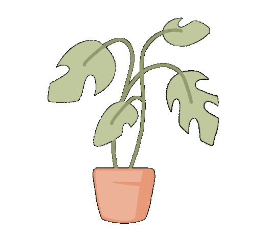 Claudiaserrag giphyupload plant plants monstera Sticker