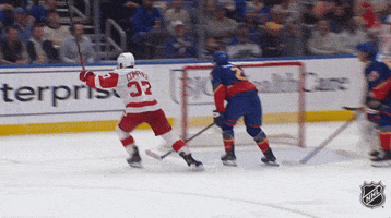 Happy National Hockey League GIF by NHL