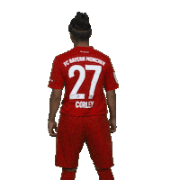 Football Soccer Sticker by FC Bayern Women